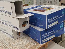 Boîte à jeux